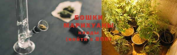 spice Елабуга
